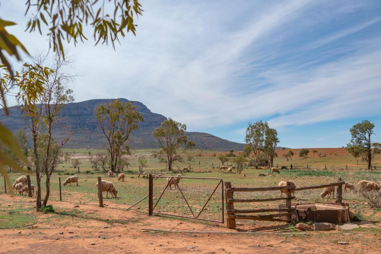 Rawnsley Park Station Hotel Flinders Ranges ภายนอก รูปภาพ